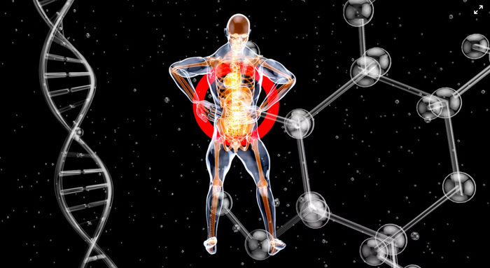Is Your Body Older Than You Think? The Science of Biological Age