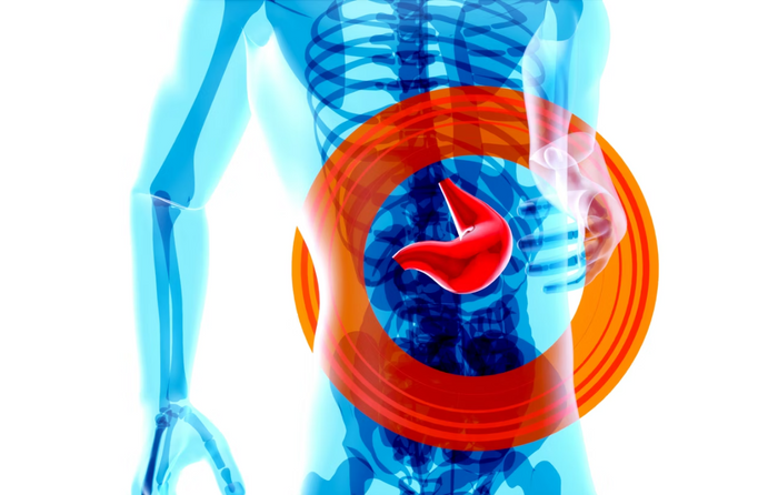 Your Gut Is Talking. Are You Listening?