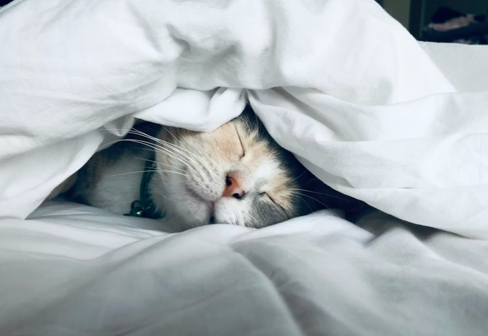 Are You Really Getting Enough Sleep?