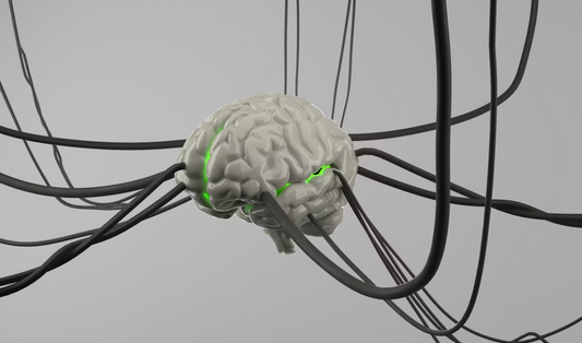 Why You Can't Switch Off — Understanding Your Nervous System