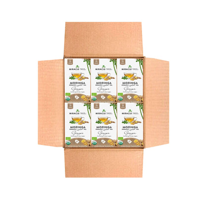 Organic Moringa Tea - Ginger - Caffeine-Free Herbal Tea