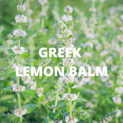 Calm Herbal Tea for Relaxation Rituals