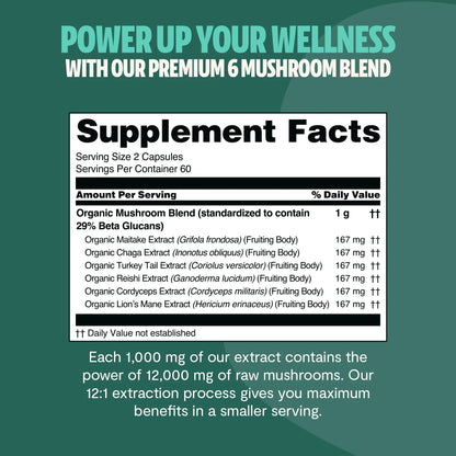 Organic Mushroom Complex Supplement Capsules
