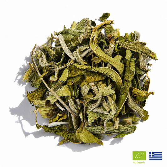 Immune Support Herbal Tea